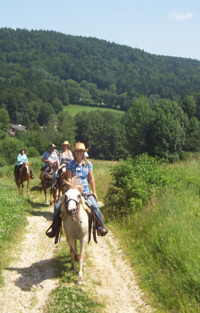 Highlander Ranch - Reiturlaub, Westernreiten, Freizeitreiten, Ausritte im Bayerischen Wald